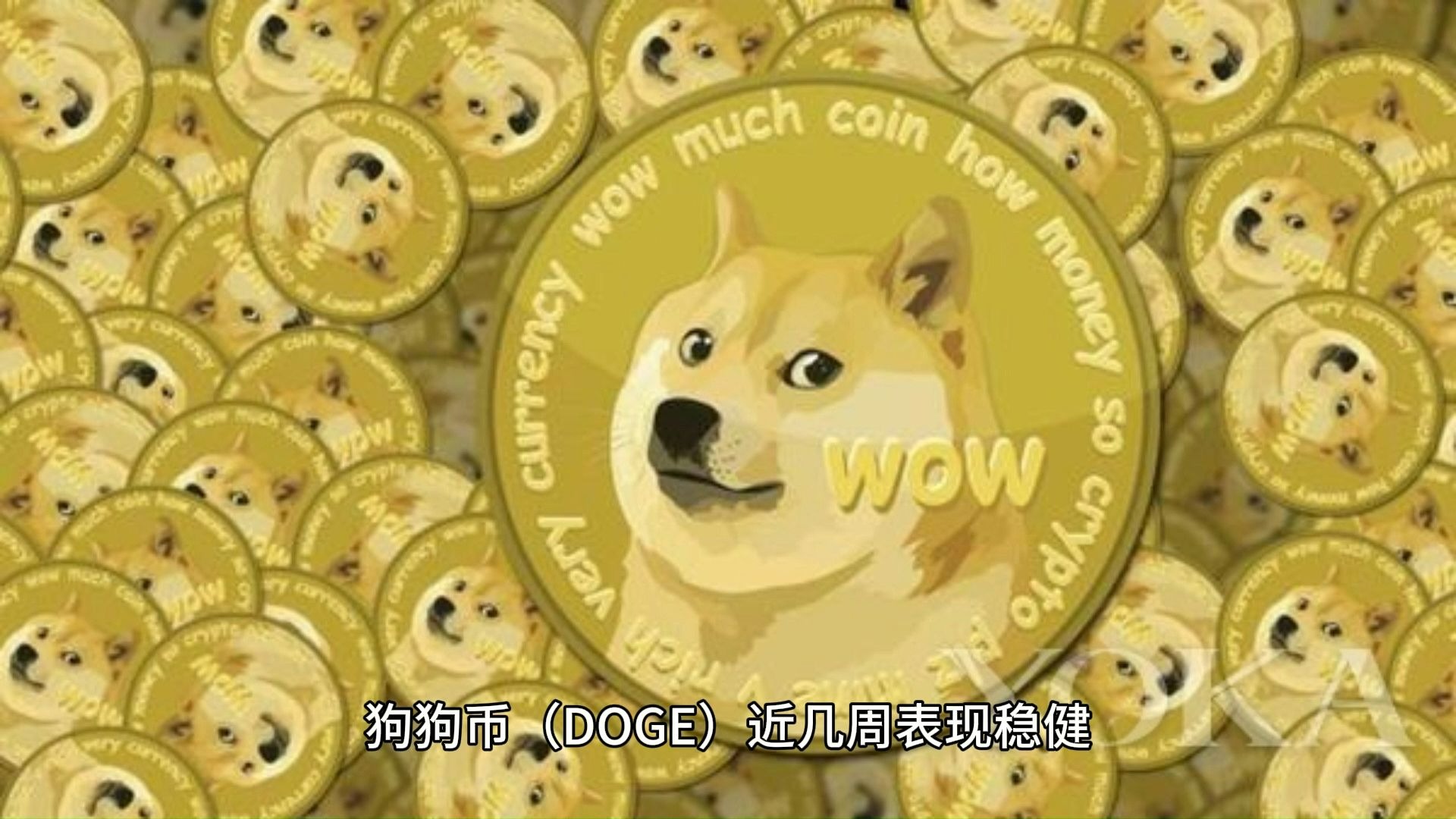 加密市场突然面临安全漏洞，损失高至狗狗币万美元！，投资者瞩目的简单介绍